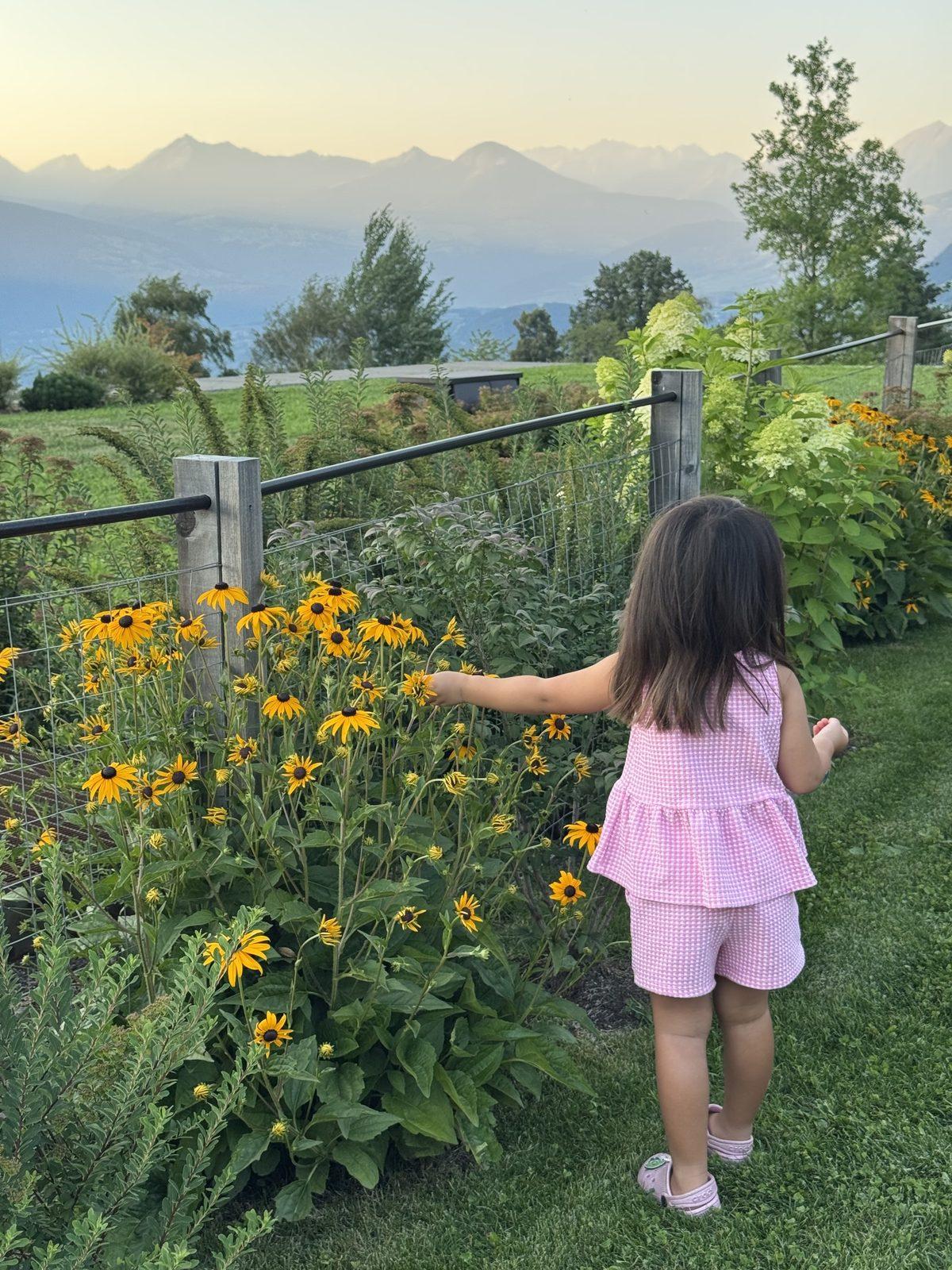 A child, seen from behind, reaching toward wildflowers on a mountainside